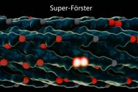 CT30_QuantumPhysicsMeetsGeneticEngi