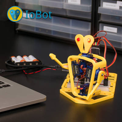 PM33_Iobot
