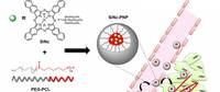 CT34_SingleAgentPhototherapySystemO