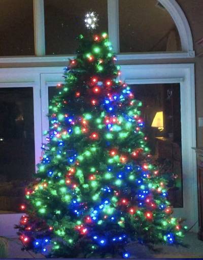 PM34_ArduinoDriven1400LedChristmasT
