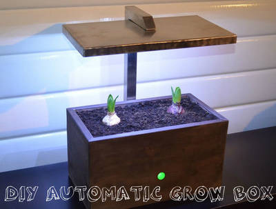 PM34_DiyAutomaticGrowBox