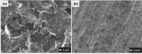 CT4_CompressingGrapheneLadenInkInc