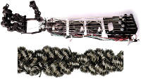 CT8_HighPerformanceRoboticMusclesF