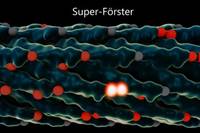 CT44_QuantumPhysicsMeetsGeneticEngi