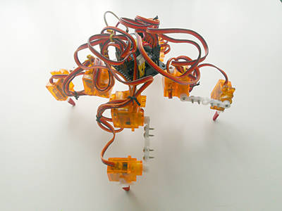 Tote  Quadruped Robot