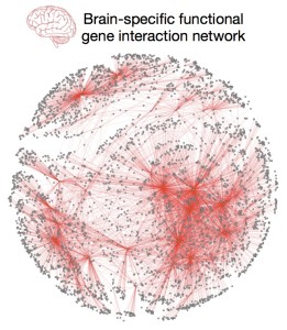 New Tool Predicts Autism Risk Genes