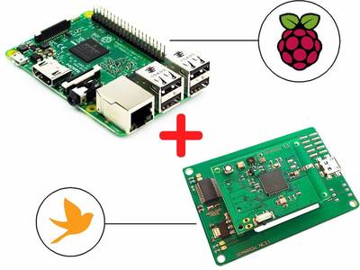 Home Monitoring With Wireless Sensor Nodes