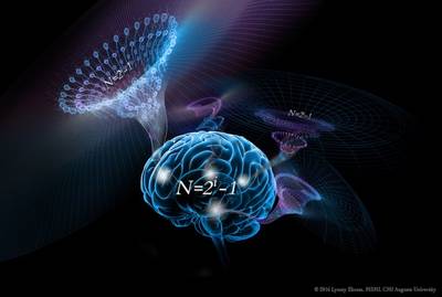 Our brains have a basic algorithm that enables our intelligence