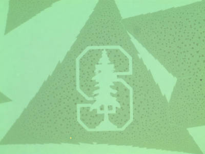 Stanford engineers create prototype chip just three atoms thick