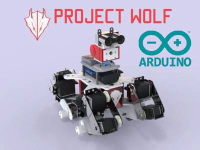 Wolf: Search and Rescue Multi-Terrain Robot