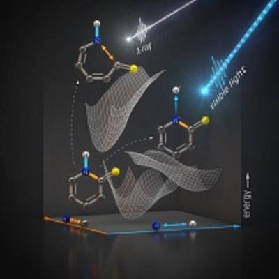 Scientists Watch a Molecule Protect Itself from Radiation Damage