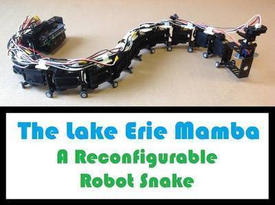 Snake Robot