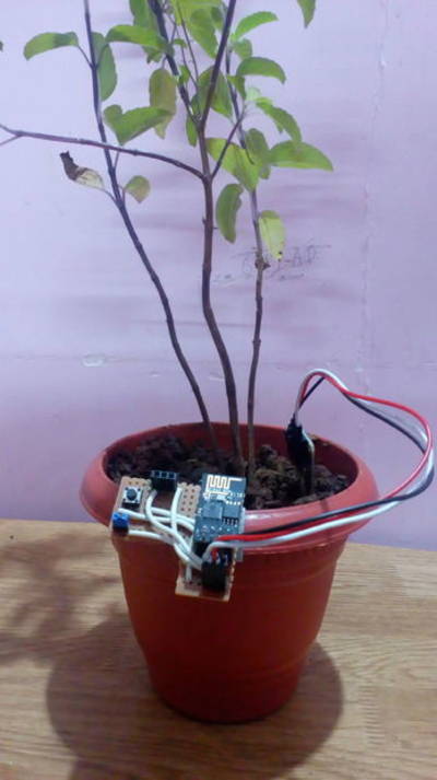 Soil Water Level Status Using ESP8266