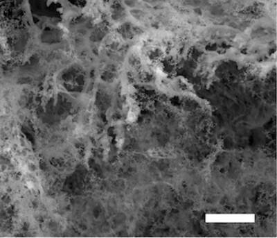 Gas gives laser-induced graphene super properties