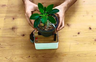 Self-Watering Plant Stand + Amazon Echo Made With MESH IoT Blocks