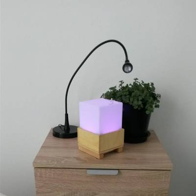 Laura: Emotional Compass Lamp