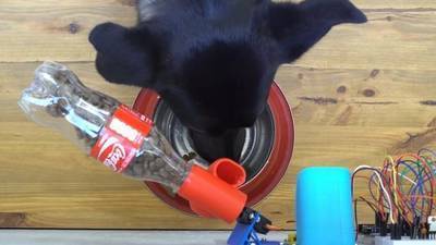 How to Make a IoT Pet Feeder