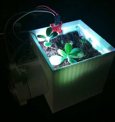 Self Watering Planter