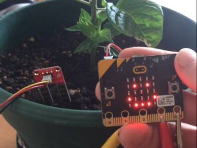 Micro:bit Moisture sensor