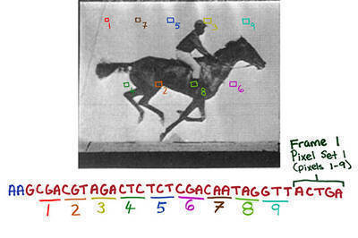 New CRISPR technology takes cells to the movies