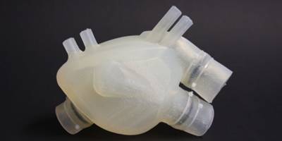 Testing a soft artificial heart