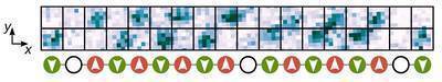 Quantum magnets doped with holes