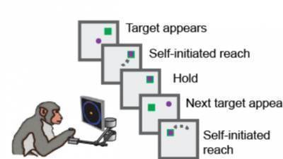 How Machine Learning Is Helping Neuroscientists Crack Our Neural Code