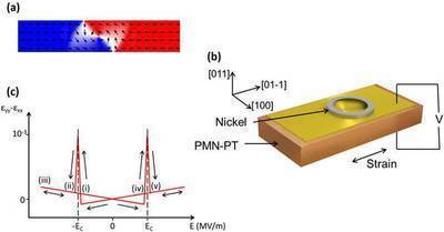 Surprise discovery in the search for energy efficient information storage