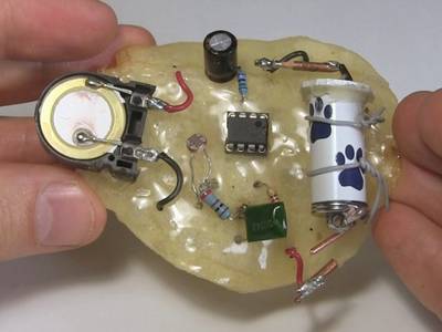 Potato chip macrochip with 555 timer circuit