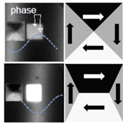 Imaging how magnetism goes surfing