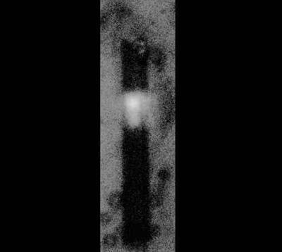 Nanoscale chip system measures light from a single bacterial cell to enable portable chemical detection