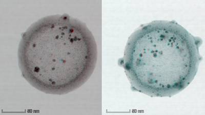 New microscopy method offers one-shot 3D imaging of nanostructures