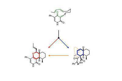 UCLA, Japanese scientists discover new way to speed up chemical reactions