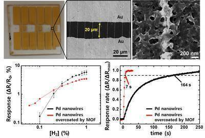 Ultra-Fast and Ultra-Sensitive Hydrogen Sensor