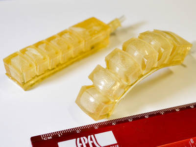 An Edible Actuator for Ingestible Robots