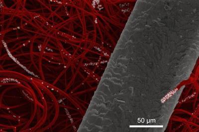 UMass Amherst Chemical Engineers Develop Green, Non-Toxic Nanofiber Fabrics for a Wide Range of Uses