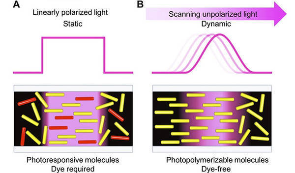 Photopolymerization-triggered molecular motion for flexible liquid crystal display