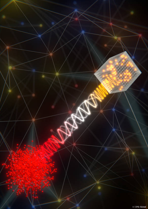 Quantum Internet goes Hybrid