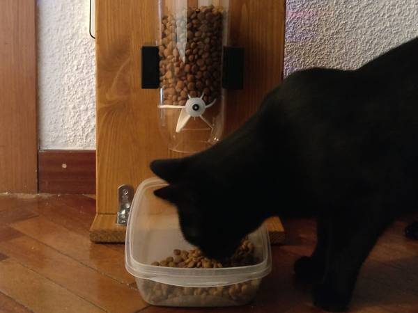 Cat Feeder with ESP8266, Arduino and Telegram