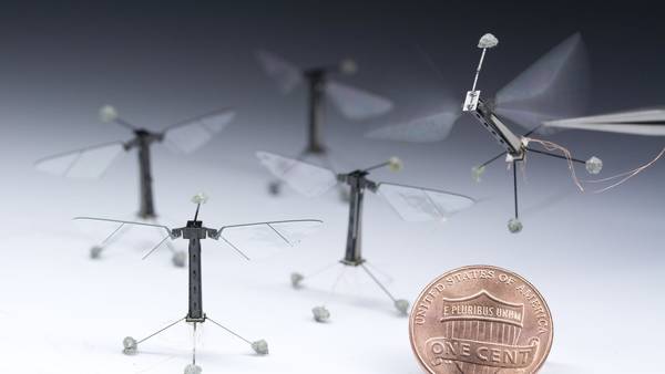 Autonomous Flying Microrobots (RoboBees)