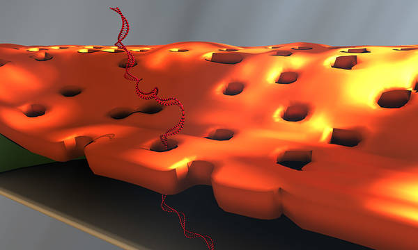 Scientist’s accidental exhale leads to improved DNA detector