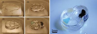 Implantable Microrobots