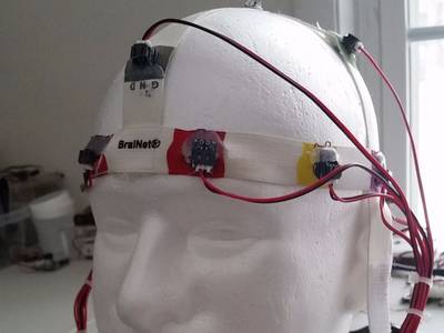 Programmable Scalp Massager