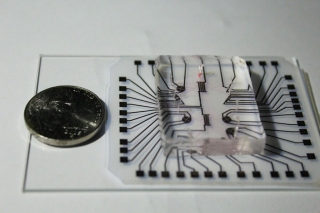 Scientists develop ‘lab on a chip’ that costs 1 cent to make