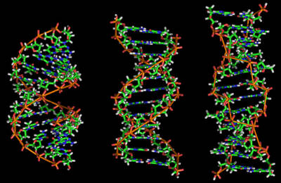 Computing with Biochemical Circuits Made Easy