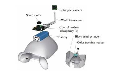 Steering A Turtle With Your Thoughts