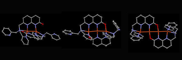 Building Molecular Wires, One Atom at a Time