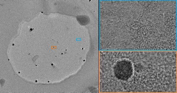 Researchers measure single atoms in a graphene 'petri-dish'