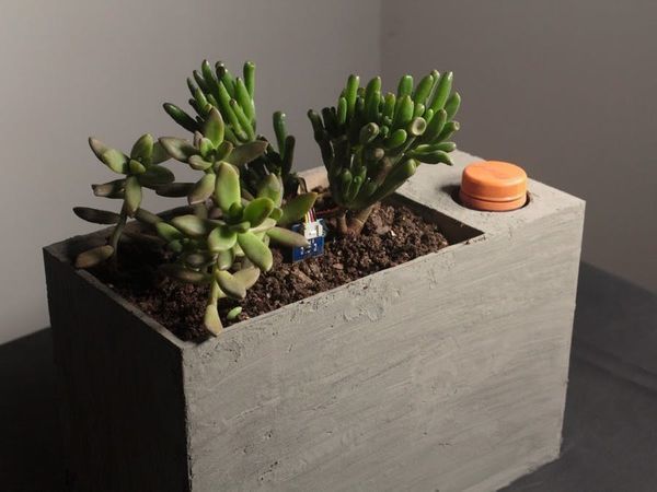 Sprout: Modern Indoor Self Watering Planter