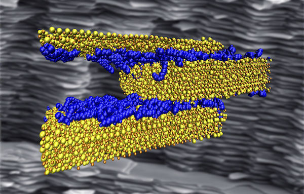 Weak hydrogen bonds key to strong, tough infrastructure